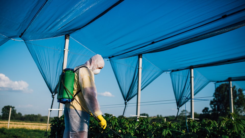Weedspraying with correct PPE when using hazardous substances/chemicals